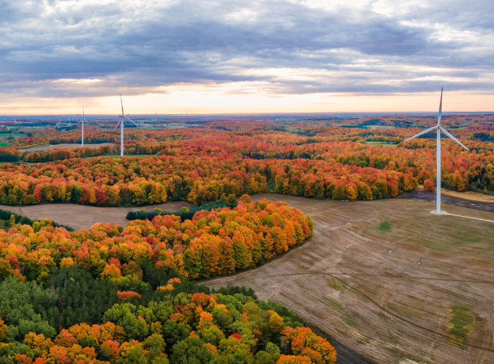 A birds eye view of windmills dotted in fields aside the orange and yellow trees of Michigan fall