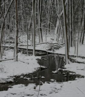 A creek runs through a snowy forest