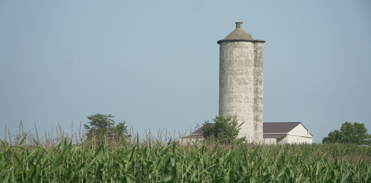 A silo rises out of a corn field in Lenawee County (Photo courtesy of Midstory)