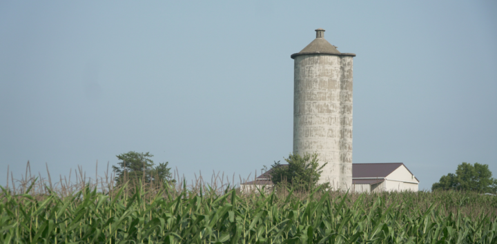 A silo rises out of a corn field in Lenawee County (Photo courtesy of Midstory)