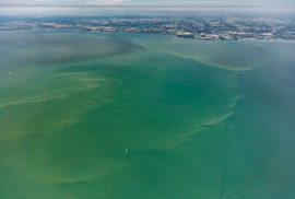 Algal blooms tinge Lake Erie green (Photo via Wikimedia Commons)