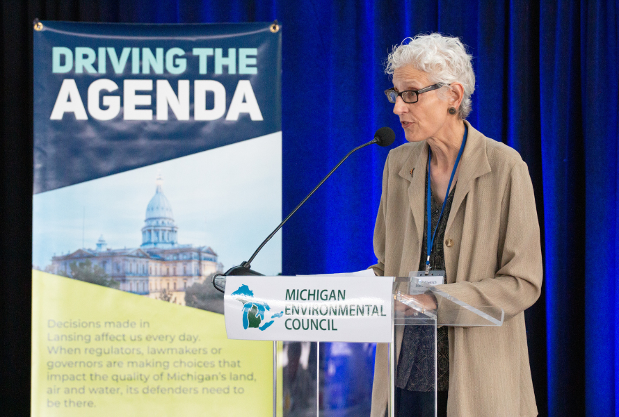 Diane Cheklich: 2022 Petoskey Prize winner