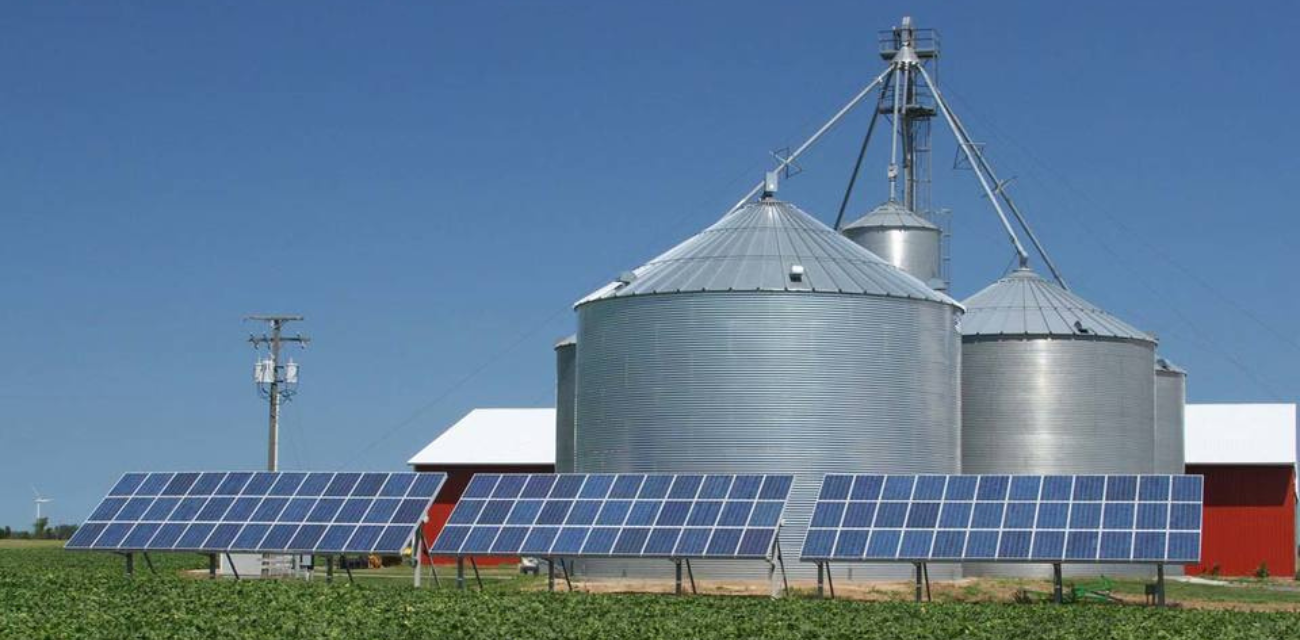 Solar panels gather sunlight in front of silos on a farm