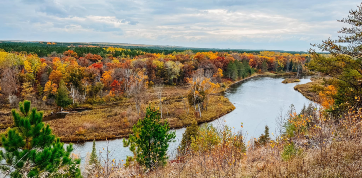 The Au Sable River's pale blue cuts through the ochre colors of autumn