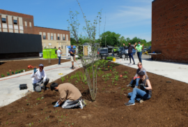 Volunteers are midway through planting in Plymouth (Photo courtesy of Friends of the Rouge