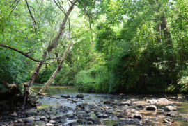 Pebbles dot the Coon Creek as it cuts across the Macomb Orchard Trail in Armada