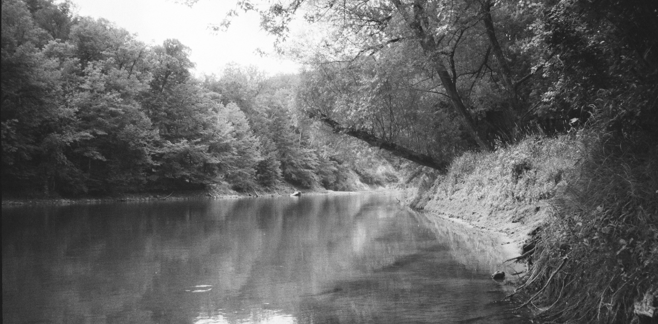 The banks of the Muskegon River (Photo courtesy of Nate Mathewson)