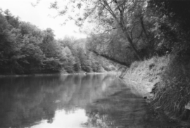 The banks of the Muskegon River (Photo courtesy of Nate Mathewson)