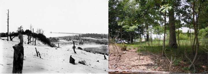 Views of dunes at the Muskegon Channel. (Left: University of Chicago, 1915; Right: Kevin McKeehan, Michigan State University, 2019.)