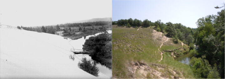 Views of dunes at Silver Creek State Park. (Left: University of Chicago, 1915; Right: Kevin McKeehan, Michigan State University, 2019.)