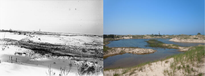 Views of dunes from Big Sable Ponit. (Left: University of Chicago, 1915; Right: Kevin McKeehan, Michigan State University, 2019.)