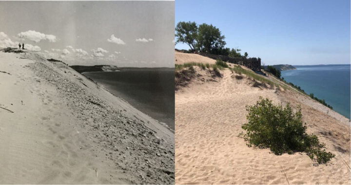 Views of Sleeping Bear Dunes from Sleeping Bear Overlook. (Left: Archives of Michigan, 1964; Right: Kevin McKeehan, Michigan State University, 2019.)