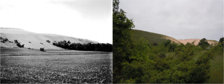 Views of Sleeping Bear Dunes from its historic climb. (Left: University of Chicago, 1917; Right: Kevin McKeehan, Michigan State University, 2019.)