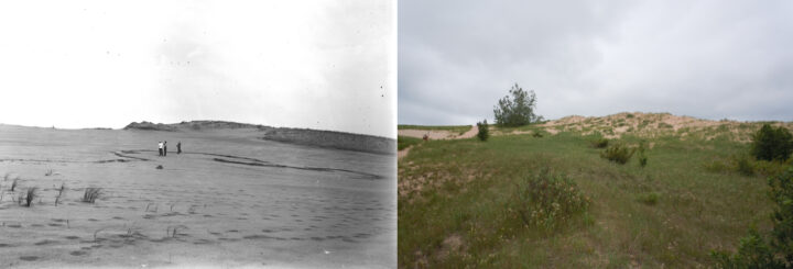 View of dunes from Sleeping Bear Point Trail. (Left: University of Chicago, 1915; Right: Kevin McKeehan, Michigan State University, 2019.)