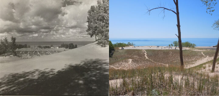 Photos of Warren Dunes. (Left: 1946, Archives of Michigan; 2019, Kevin McKeehan, Michigan State University.)