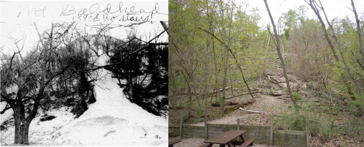 Photos of the dune Mount Baldhead's base. (Left: 1890, Saugatuck-Douglas Historical Society; 2019, Kevin McKeehan, Michigan State University.)