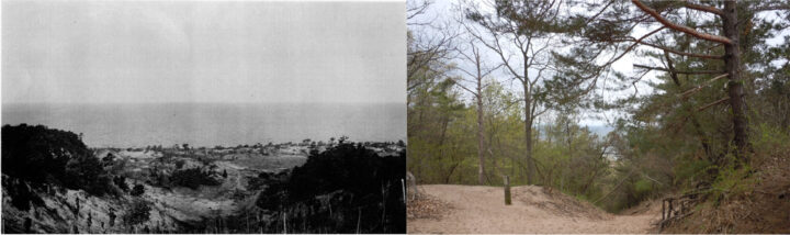 Photos of Mount Baldhead's crest. (Left: Saugatuck-Douglas Historical Society, 1900; Right: Kevin McKeehan, Michigan State University, 2019.)