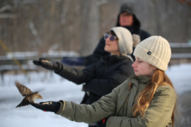 Several participants at a Detroit Bird Alliance event at Kensington Nature Center hold their arms outstreched with bird food as birds land on their hands.