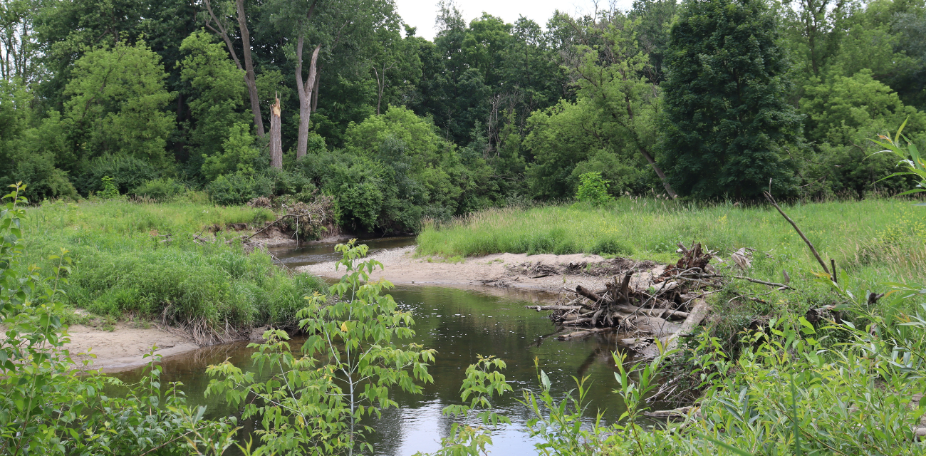 The banks of the Clinton River are long at the Avon Nature Area in Rochester Hills