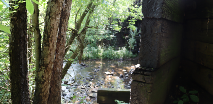 Trees and a bridge cover the Coon Creek as it cuts through the Macomb Orchard Trail in Armada