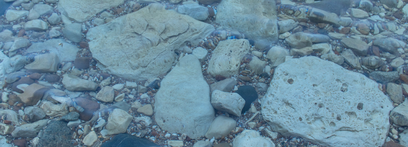 Rocks are shaded blue by the water around them