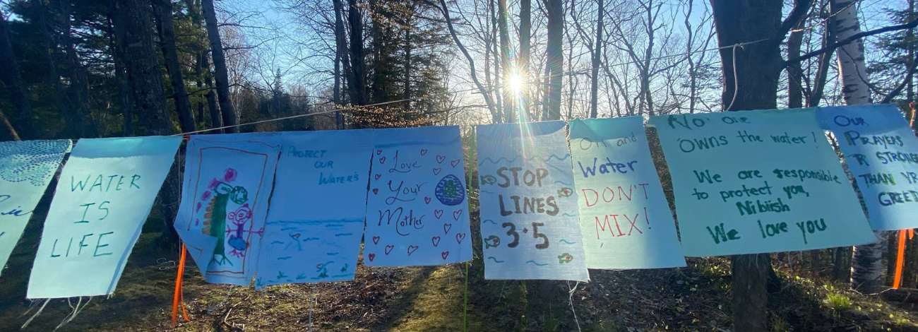 Posters calling for the Line 5 pipeline's shutdown hang on trees in a patch of trees