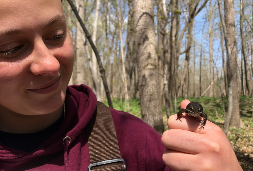 A person holds up a frog in a wooded natural preserve. (Photo courtesy of Legacy Land Conservancy.)