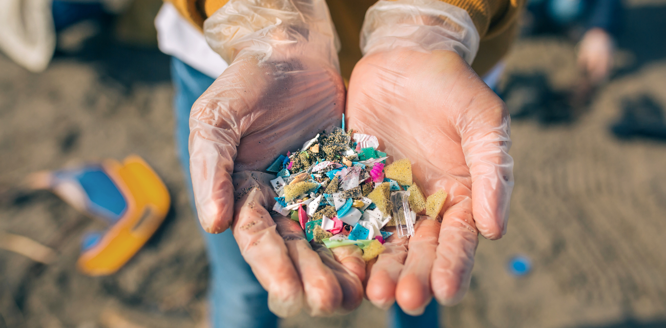 A person in gloves holds microplastics found on the beach. (Photo via doble-d from Getty Images)