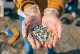 A person in gloves holds microplastics found on the beach. (Photo via doble-d from Getty Images)