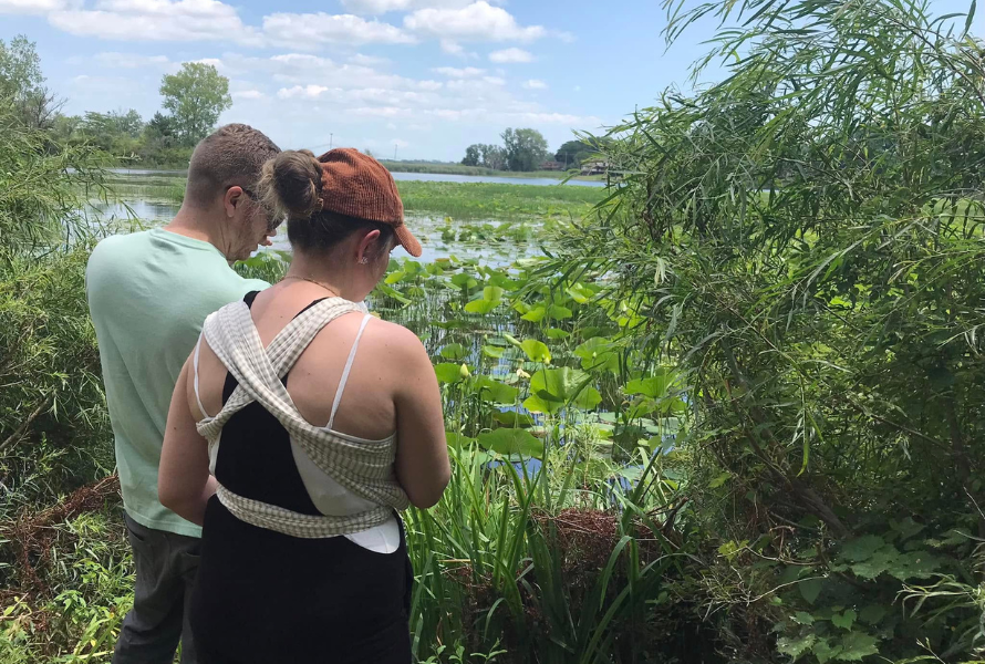 Two people look on at wildlife in Grosse Ile. (Photo courtesy of Grosse Ile Nature & Land Conservancy)