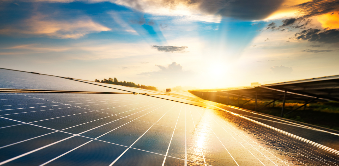 Solar panels gleam under the sun. (Photo via Getty Images)