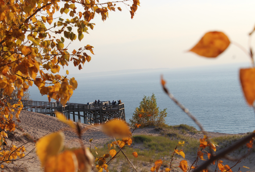 A boardwalk looking over Lake Michigan dunes in the fall