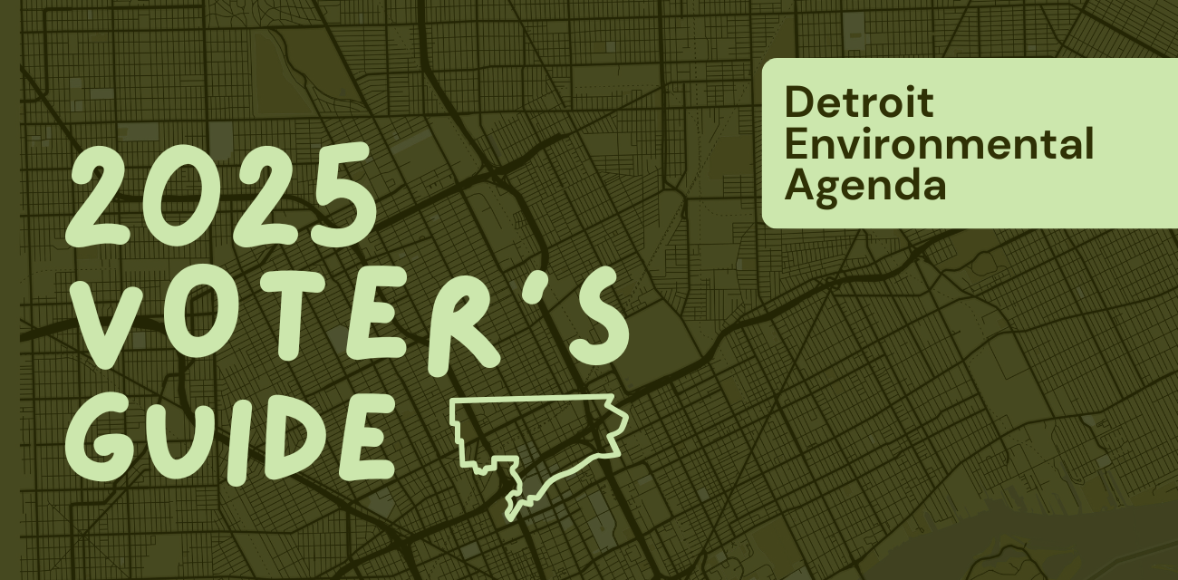 A graphic showcasing the Detorit Environmental Agenda's 2025 voter guide.