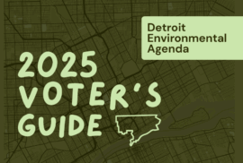 A graphic showcasing the Detorit Environmental Agenda's 2025 voter guide