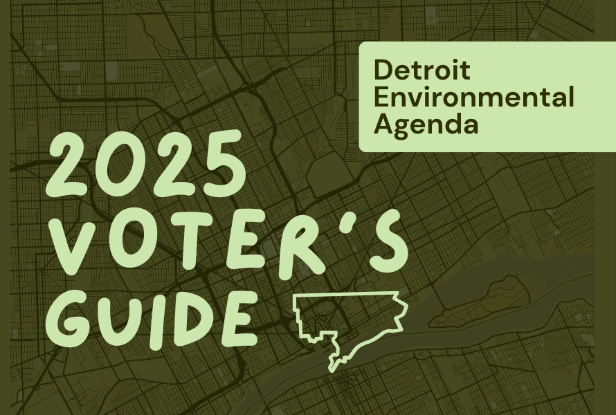 A graphic showcasing the Detorit Environmental Agenda's 2025 voter guide