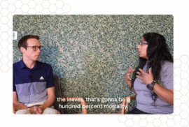Shikha Singh, right, talks to Beau Brockett about invasive species during a podcast episode.