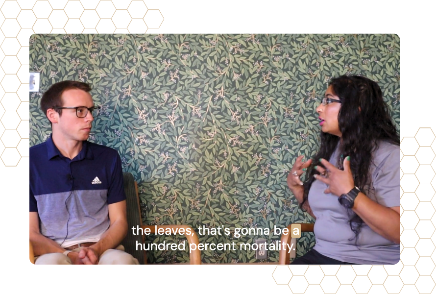 Shikha Singh, right, talks to Beau Brockett about invasive species during a podcast episode.