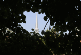 Tree leaves circle the spire of a church at Albion College.